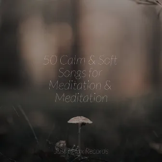 50 Calm & Soft Songs for Meditation & Meditation by Kinderliederbande