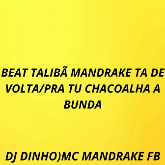 BEAT TALIBÃ MANDRAKE TA DE VOLTA/PRA TU CHACOALHA A BUNDA by MC MANDRAKE FB