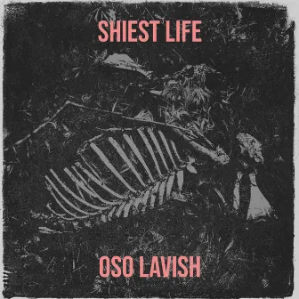 Shiest Life by Oso Lavish