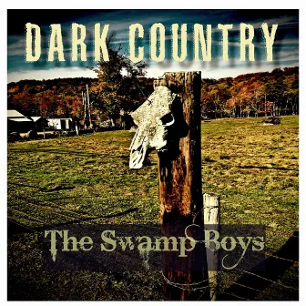 Dark Country by The Swamp Boys