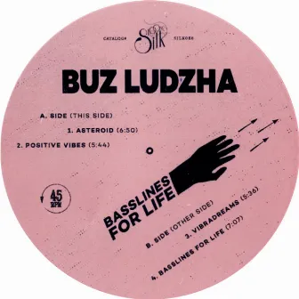 Basslines for Life by Buz Ludzha