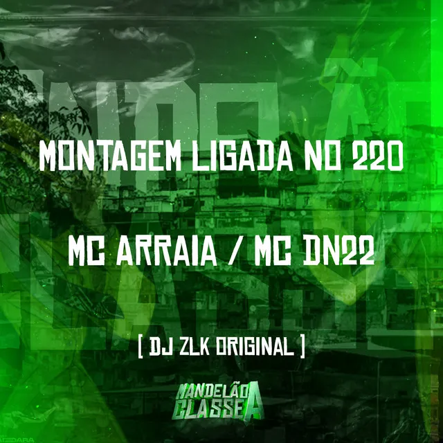 Montagem Ligada no 220