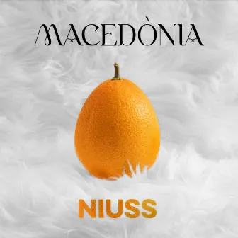 Macedònia by NIUSS