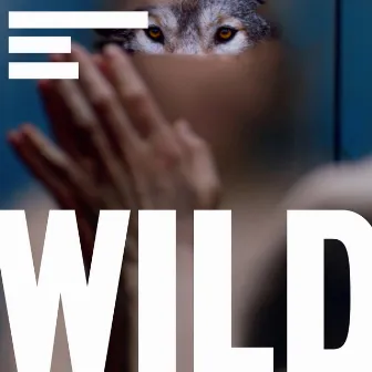 Wild Soundtrack by Terranova