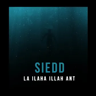 La Ilaha Illah Ant by Siedd