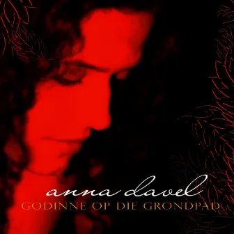 Godinne Op Die Grondpad by Anna Davel