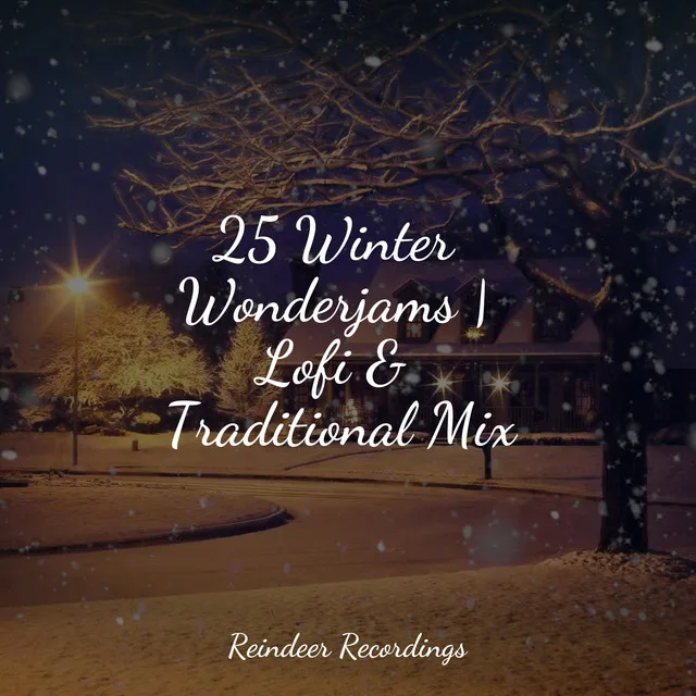 25 Winter Wonderjams | Lofi & Traditional Mix