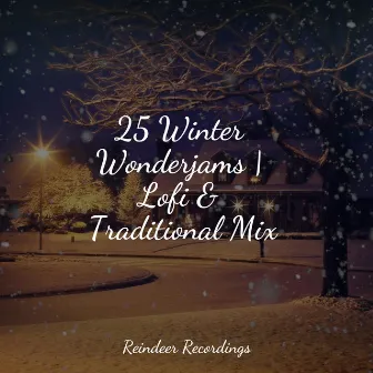 25 Winter Wonderjams | Lofi & Traditional Mix by Unknown Artist