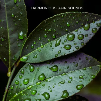 Harmonious Rain Sounds by Complete Effects