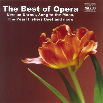 Best Of Opera by Slovak Radio Symphony Orchestra