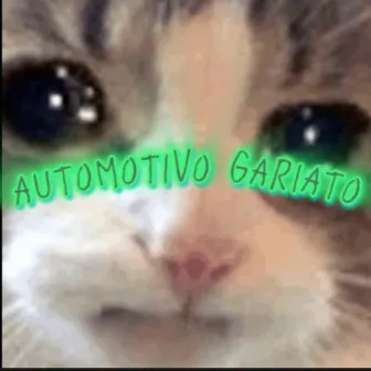 Automotivo Gariato by DJ MSP