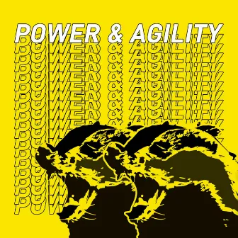 Power & Agility by Badger