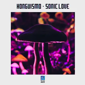 Sonic Love by Honguismo