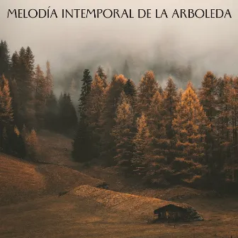 Melodía Intemporal De La Arboleda by Relajacion Yoga Conjunto