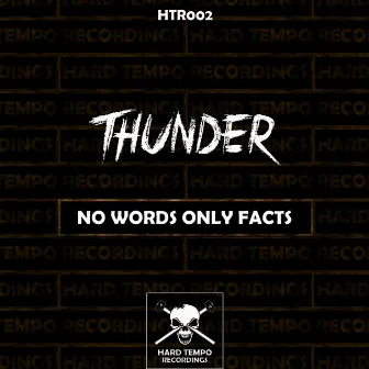 No Words Only Facts by Thunder