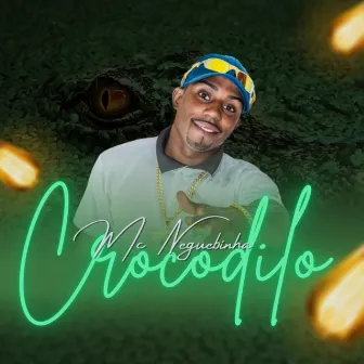 Crocodilo by mc neguebinha