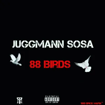 88 Birds by JuggMann Sosa