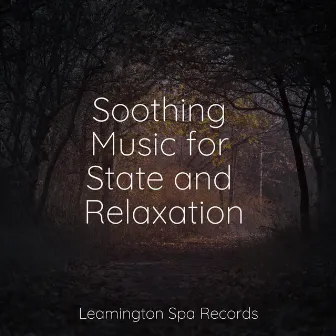 Soothing Music for State and Relaxation by Sons da Natureza & Relaxamento