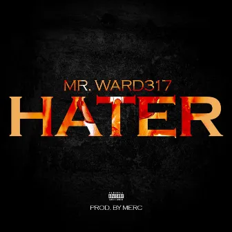 Hater by Mr. Ward317