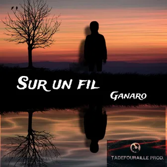 Sur un fil by Ganaro