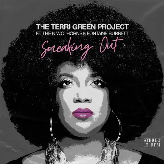 Sneaking Out by The Terri Green Project