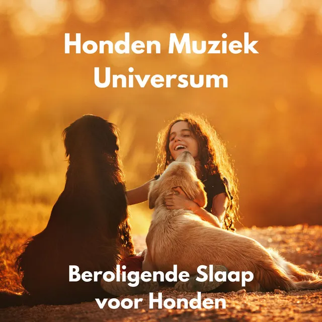 Beroligende Slaap voor Honden