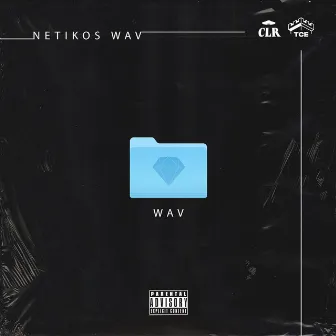 WAV by Netikos