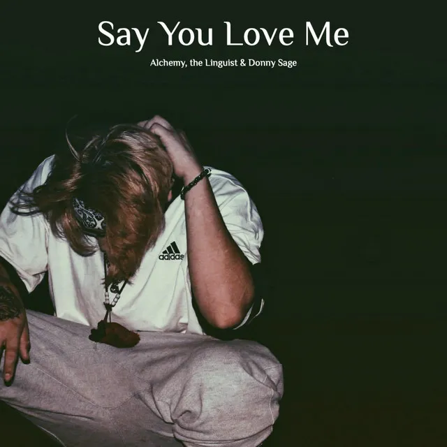 Say You Love Me