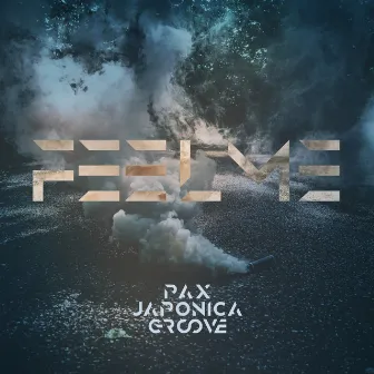 Feel Me by PAX JAPONICA GROOVE