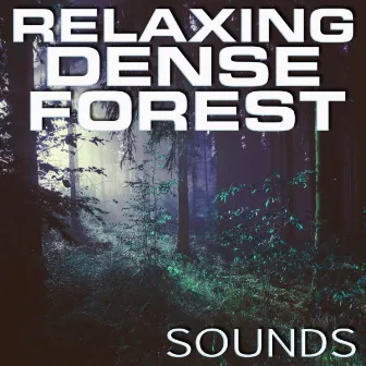 Relaxing Dense Forest Sounds by Natural Sound