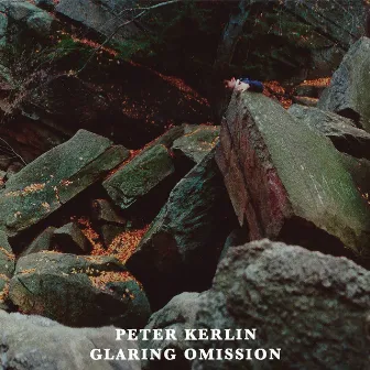 Glaring Omission by Peter Kerlin