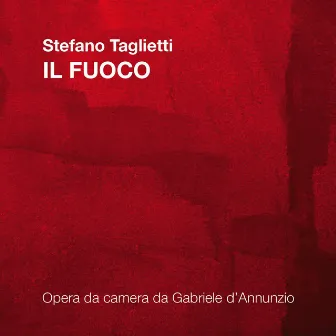 Stefano Taglietti: Il fuoco by Stefano Taglietti