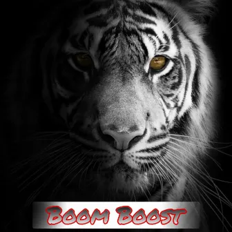 Boom Boost by Mohit Kumar