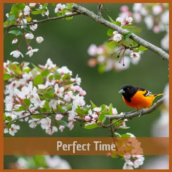 Perfect Time by The Harmony