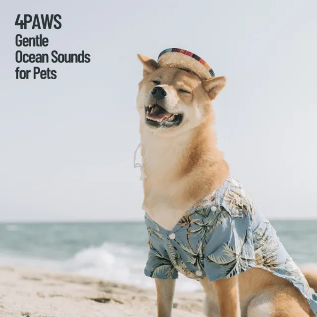 4Paws: Gentle Ocean Sounds of Pets Relaxation