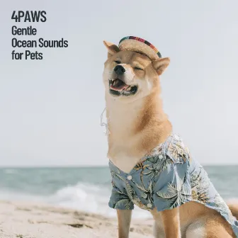 4Paws: Gentle Ocean Sounds of Pets Relaxation by Sleeping Music For Dogs