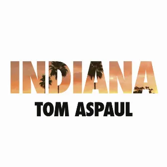 Indiana by Tom Aspaul