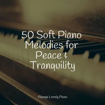 #50 Piano Melodies for Peace & Tranquility by Piano Pianissimo