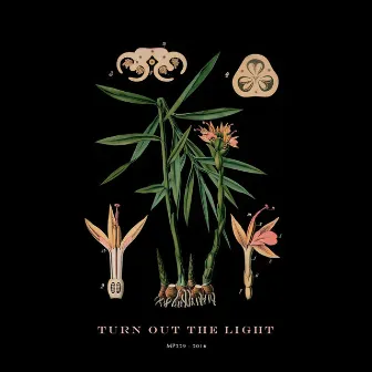 Turn out the Light by Hola A Todo El Mundo