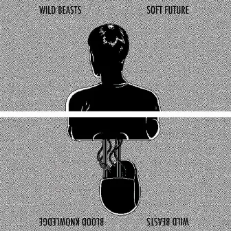 Soft Future by Wild Beasts