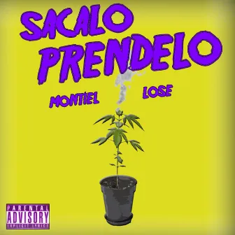 Sacalo Prendelo by Lose