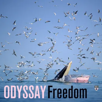 Freedom by ODYSSAY