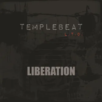 Liberation by Templebeat L.T.D.