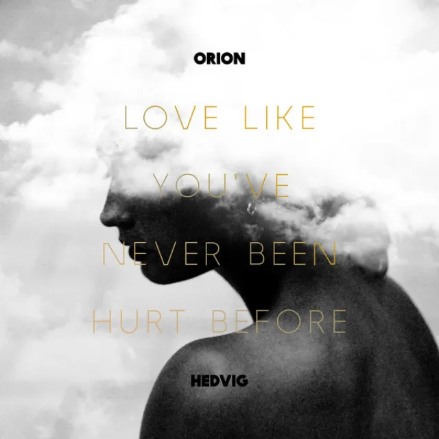 Love Like You've Never Been Hurt Before (Orions Emotions Remix)