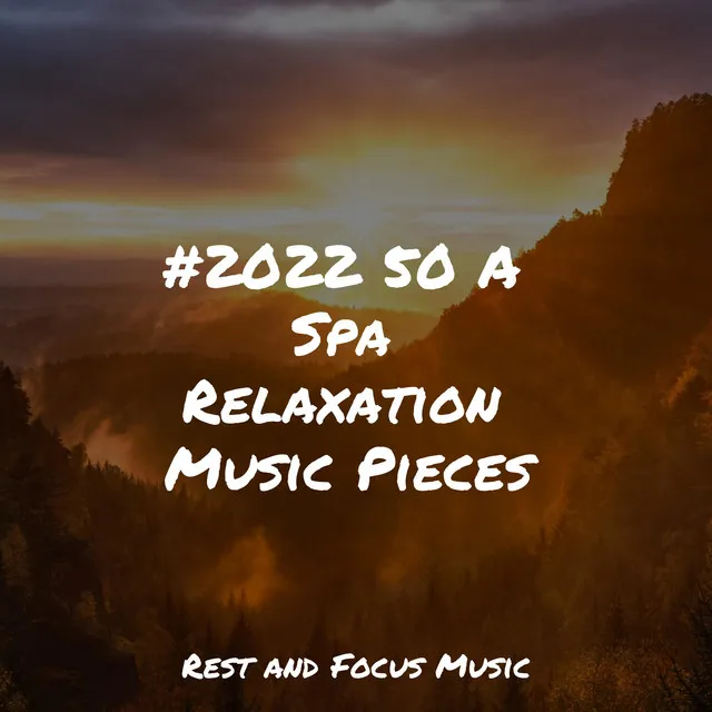 #2022 50 A Spa Relaxation Music Pieces