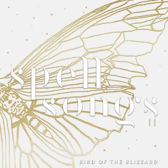 Bird of the Blizzard by Spell Songs