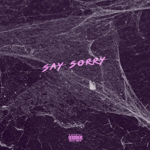 Say Sorry