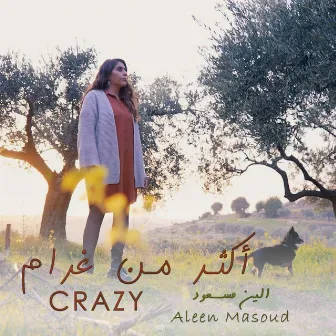 Crazy & Aktar Men Gharam by Aleen Masoud