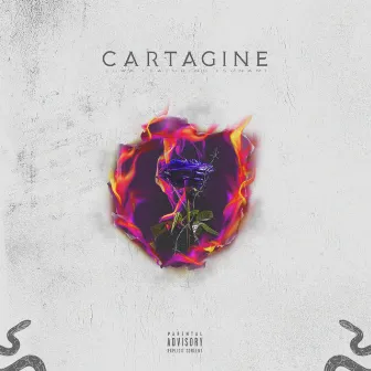 Cartagine by LOWA