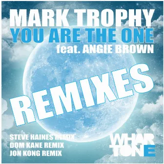 You Are The One (Remixes) by Angie Brown